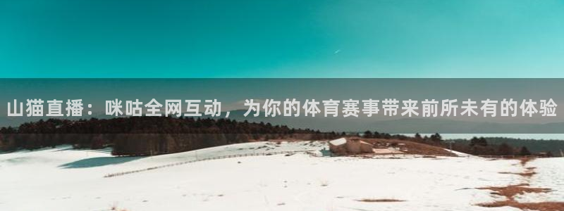 鲸鱼体育tv直播：山猫直播：咪咕全网互动，为你的体育赛事带来前所未有的体验