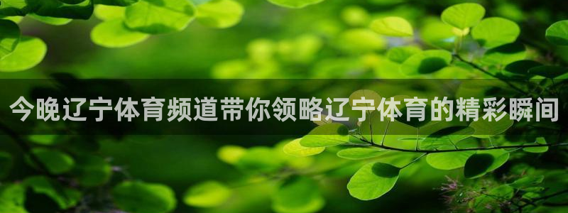 鲸鱼体育nba73.tv：今晚辽宁体育频道带你领略辽宁体育的精彩瞬间